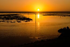 Jacky DUVERGER - Mégapix'Air